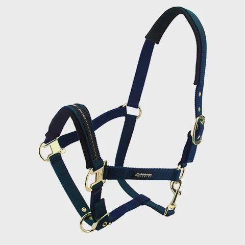 Bainbridge Horse Halter Cob, Colour: Blue