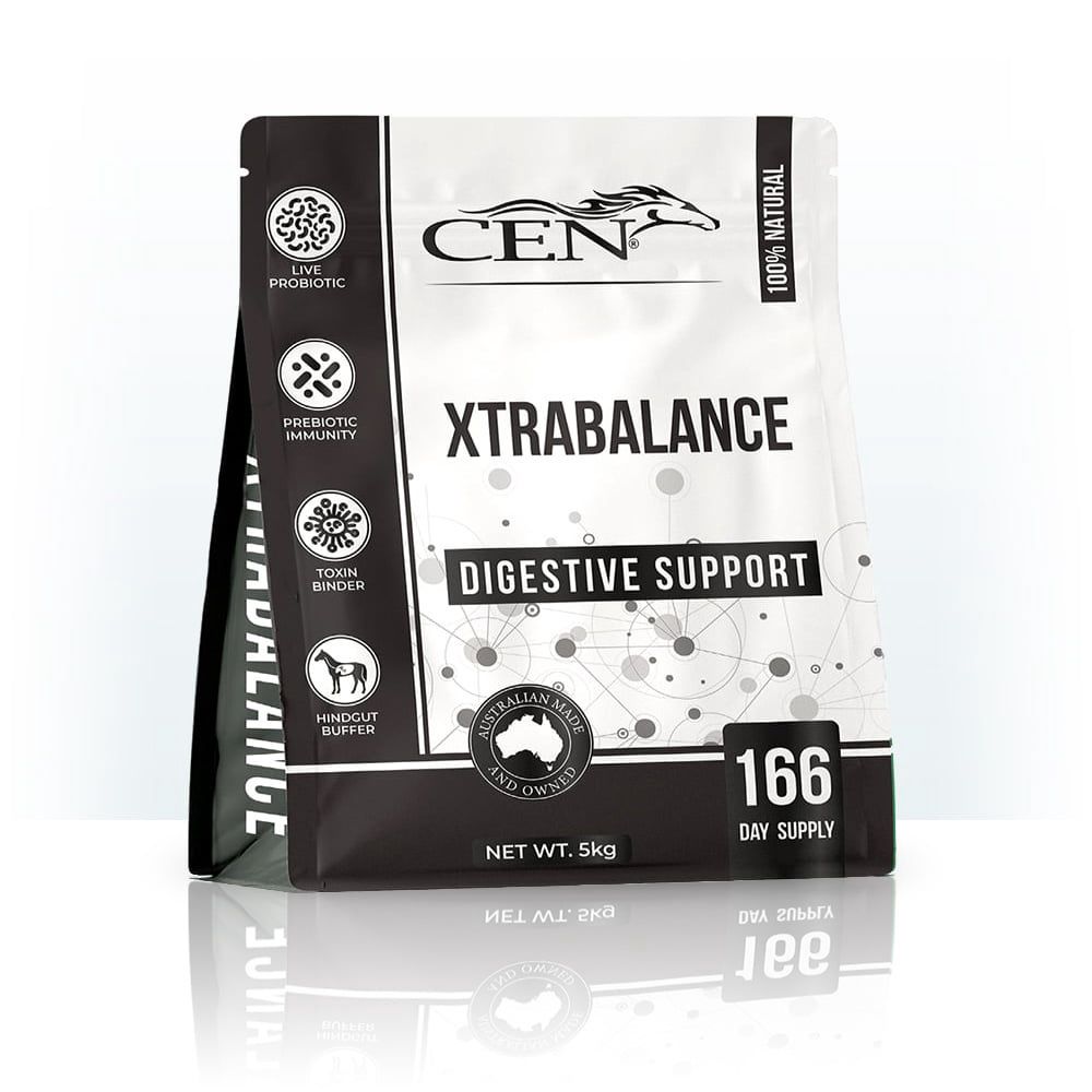 CEN XtraBalance, Size: 5kg