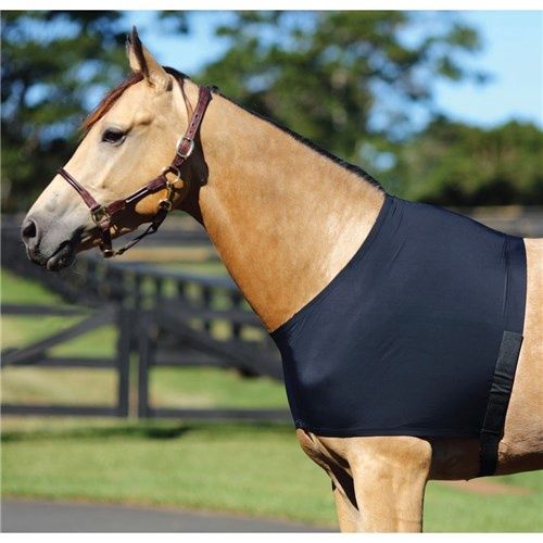 Horsemaster Lycra Shoulder Guard, Size: Large