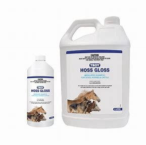 Troy - Hoss Gloss