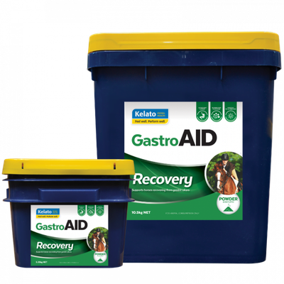Kelato GastroAID  RECOVERY (was Digestive)