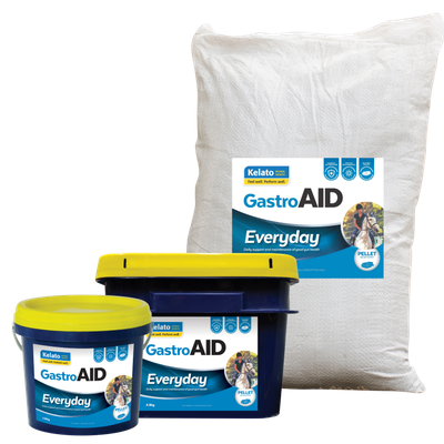 Kelato GastroAid EVERYDAY (was Health)