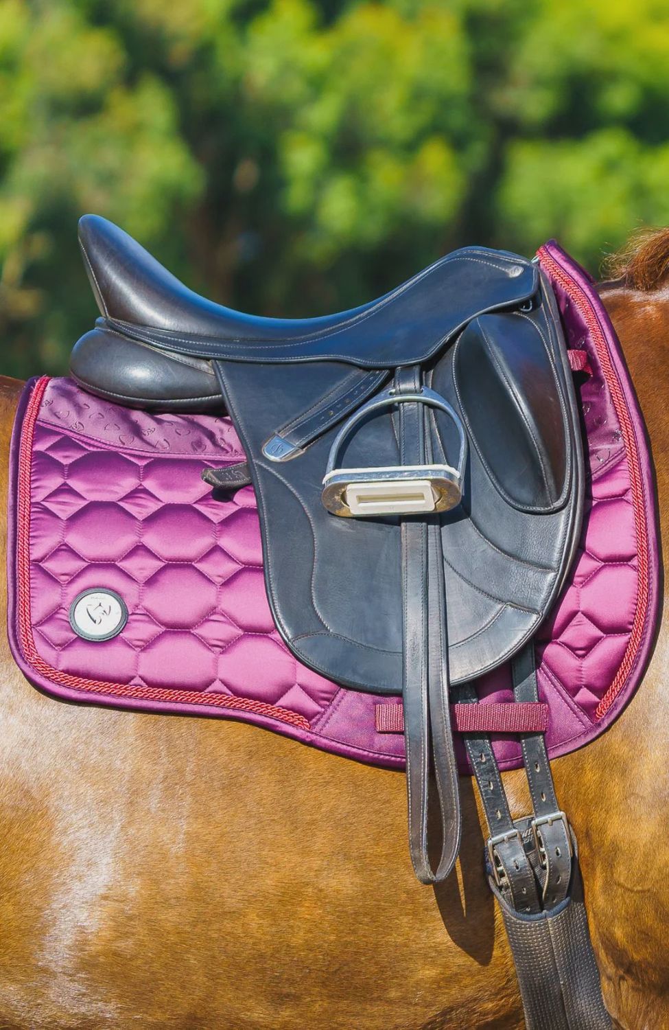 Bare Luxe Sport Saddle pad (Dressage cut)