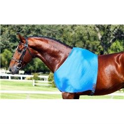 Lycra Shoulder Guard Blue, Size: Small