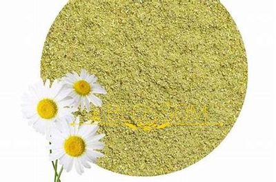 Chamomile powder