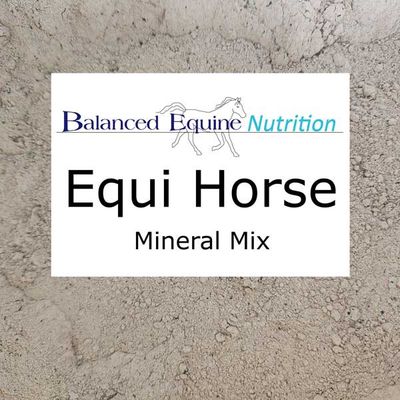 Balanced Equine - Equi Horse