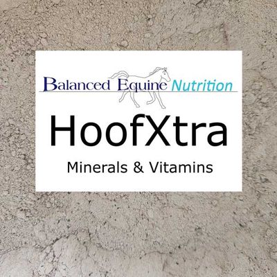 Balanced Equine - HoofXtra