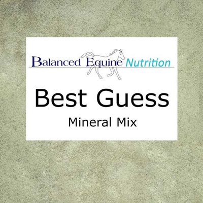 Balanced Equine - Best Guess