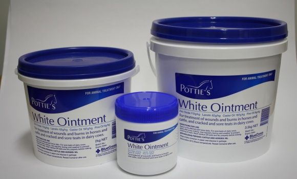 Potties White Ointment, Size: 350gm