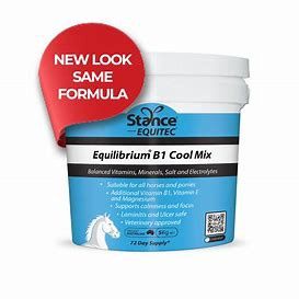 Equilibrium B1 Cool mix