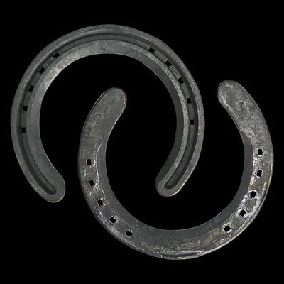 New Zealand Concave Toe Clipped Horseshoe
