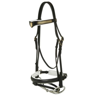 Jeremy &amp; Lord Transition Bridle