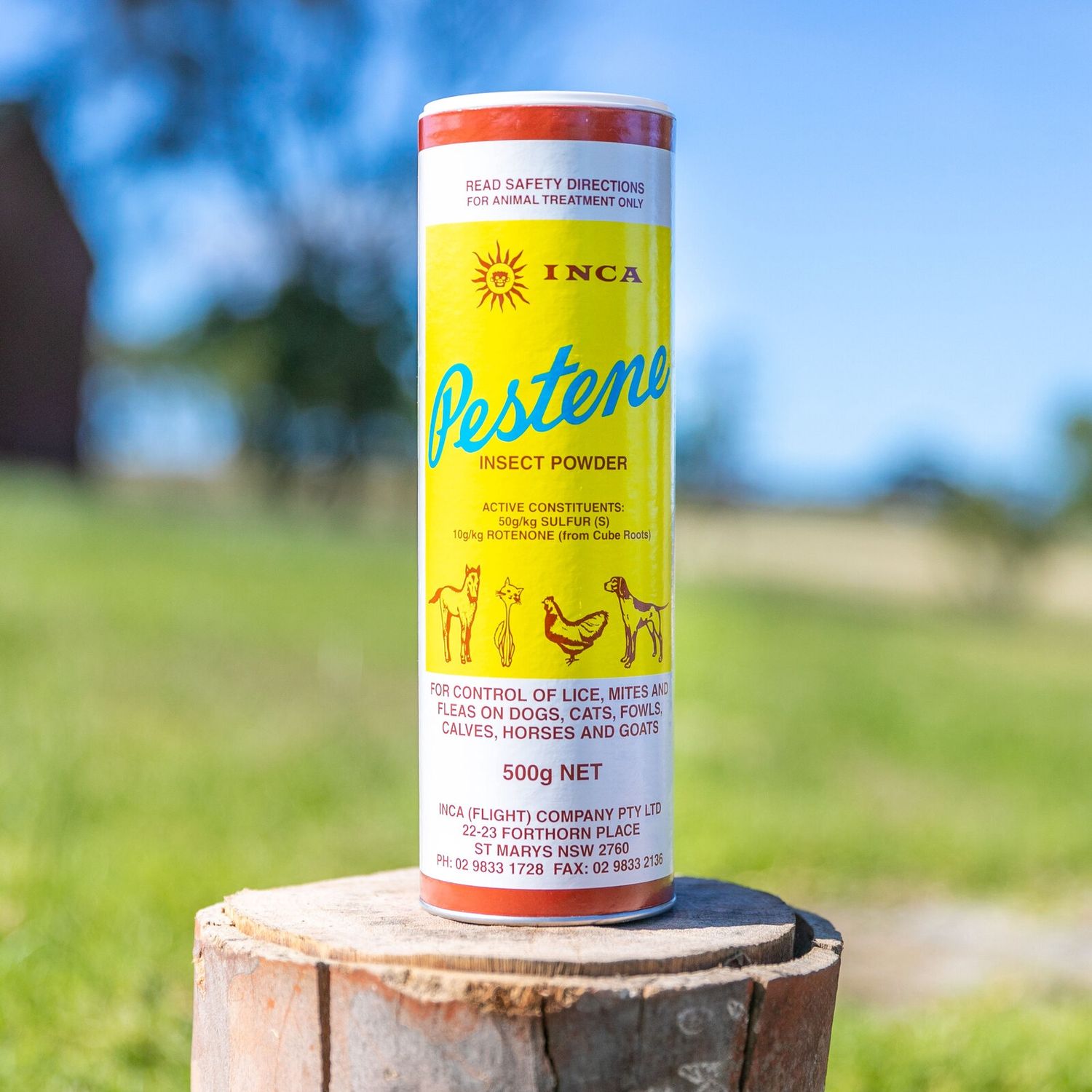 Inca Pestene Powder