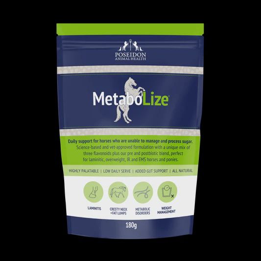 MetaboLize
