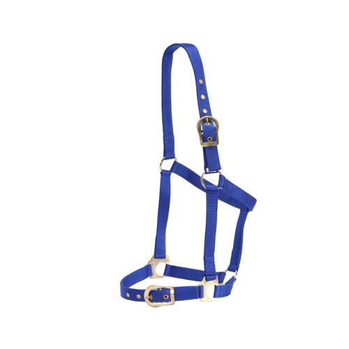 Halter w/Brass buckles