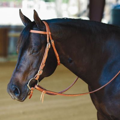 Reins and Accessories