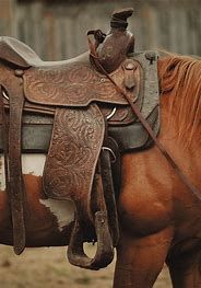 Saddles