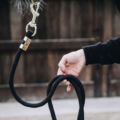 Lead Ropes