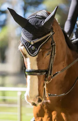 Ear Bonnets and Hoods