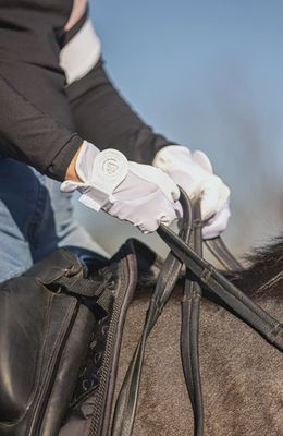 Gloves