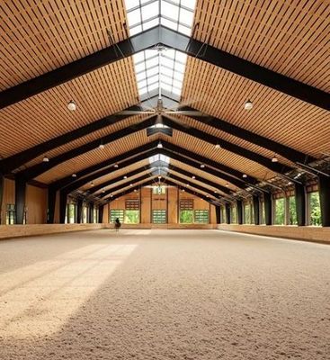 Arena