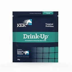 KER Drink up sachet 80g