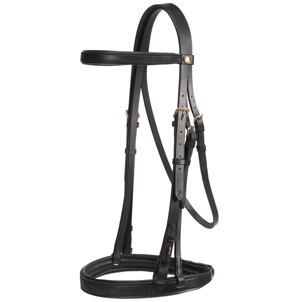 Jeremy &amp; Lord Dressage Bridle