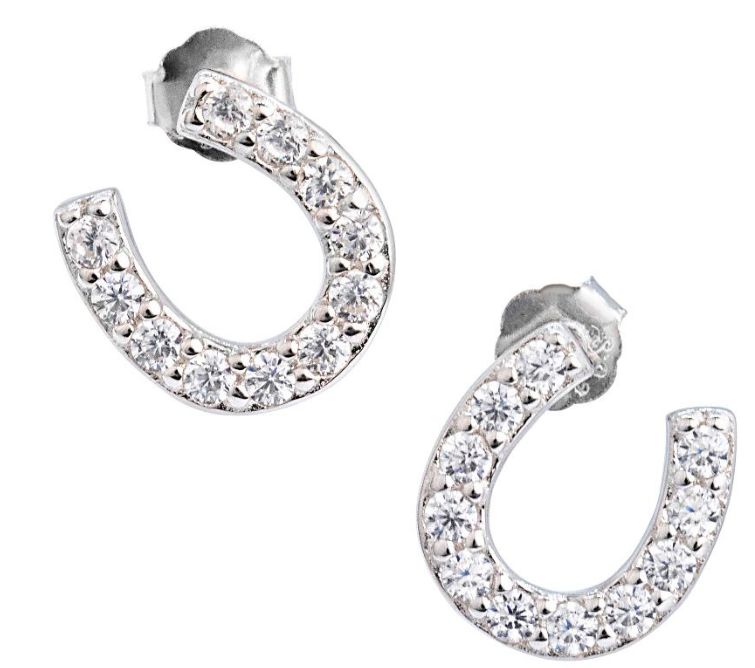 Stud S/S &amp; CZ Horse shoe-ER0134