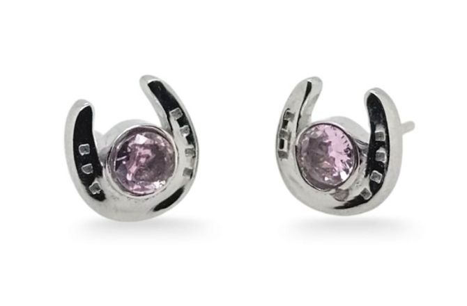 Studs S/S &amp; PINK CZ Horse Shoe-ER0686