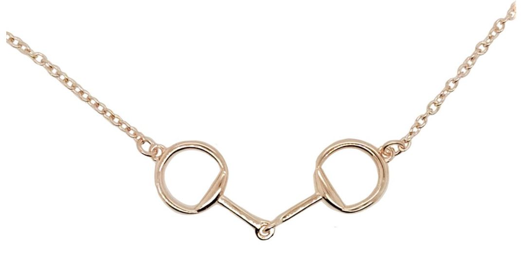 Pendant S/S &amp; Chain RGP SNAF B-PB0596