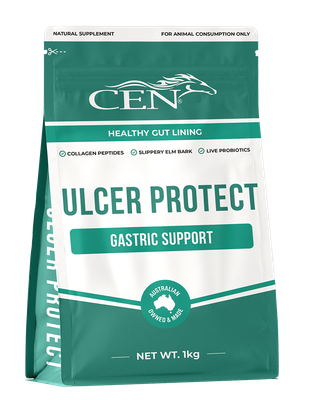 CEN Ulcer Protect