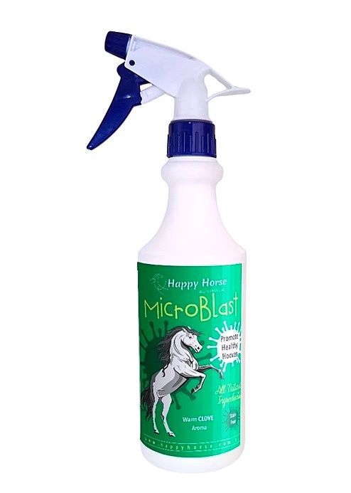 Happy Horse MicroBlast (Known as Microbug)