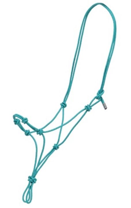 Fort Worth Clinician/Training Halter Turquoise