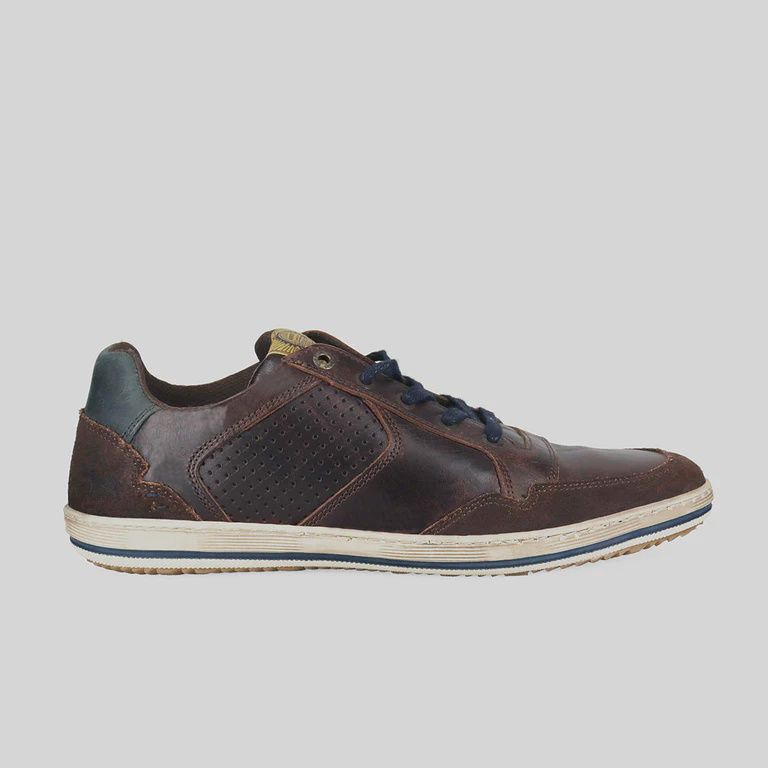 Wild Rhino Crest Dark Brown