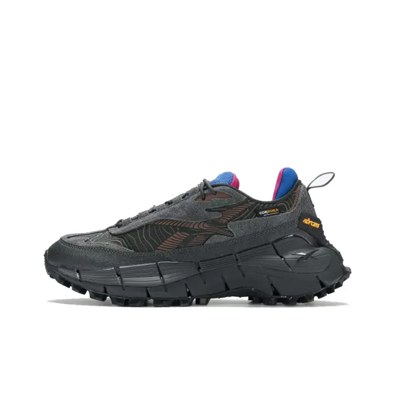 Reebok Zig Kinetica 2.5 &#39;Pure Grey Vector Blue&#39;