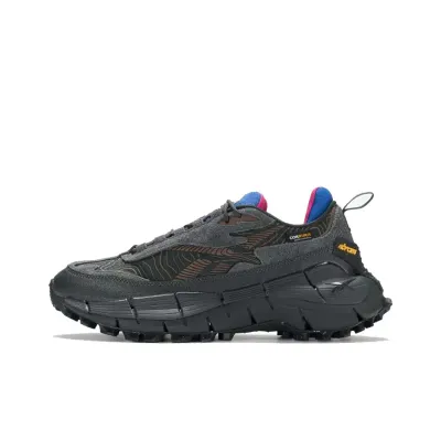 Reebok Zig Kinetica 2.5 &#39;Pure Grey Vector Blue&#39;