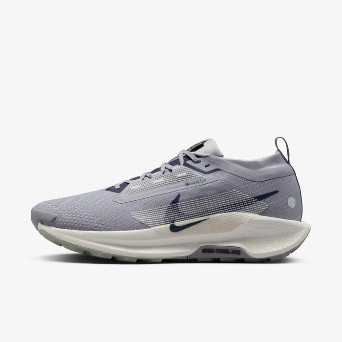 Nike Pegasus Trail 5 GORE-TEX