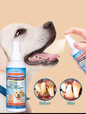 1 pieza Spray para la limpieza y frescura oral de mascotas para eliminar el mal aliento