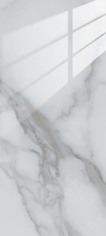 Chantilly | Panneau de marbre Blanc Brillant avec Gris | 260x122x0,2