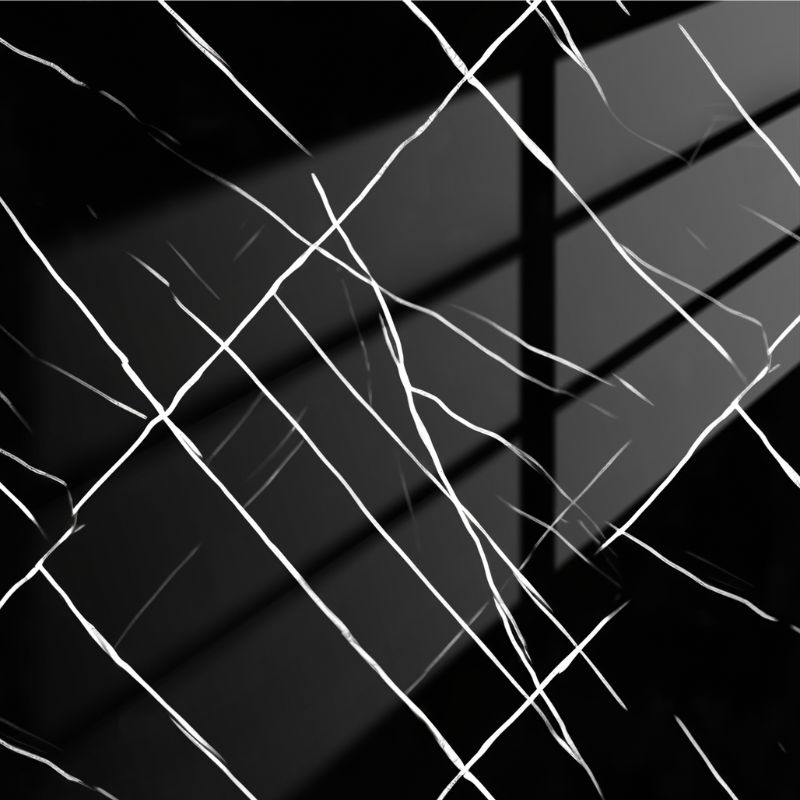 Black & White | Panneau de marbre Noir Brillant avec Blanc | 260x122x0,2cm