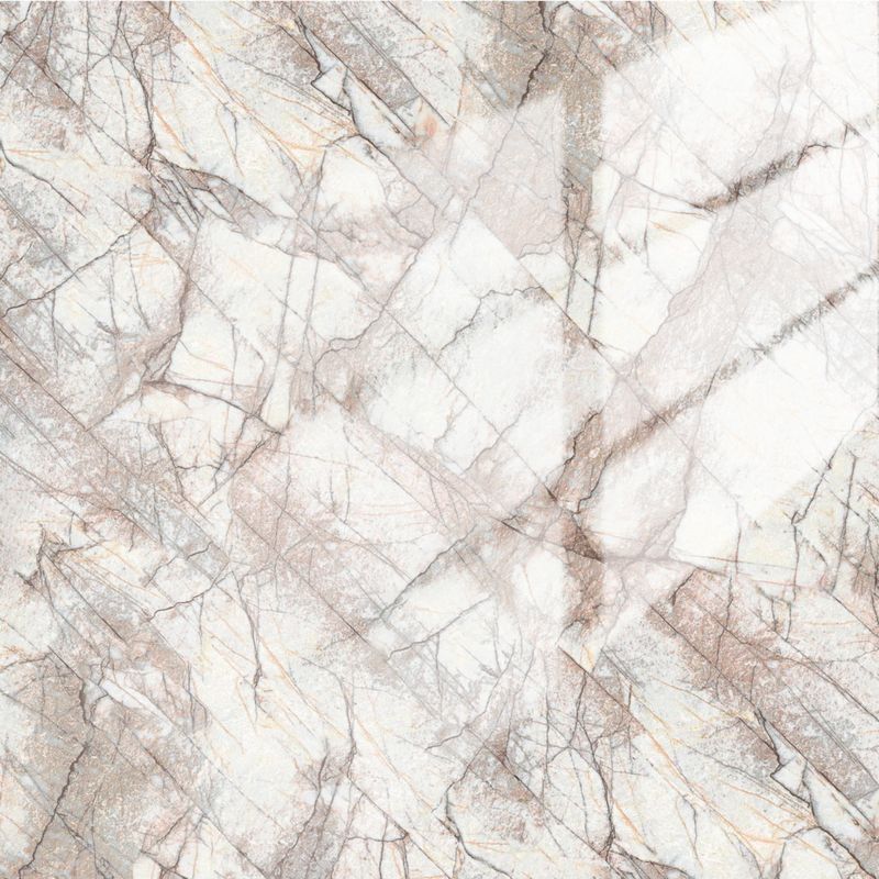 Tiramisu | Panneau de marbre Blanc Brillant avec Marron | 260x122x0,2cm