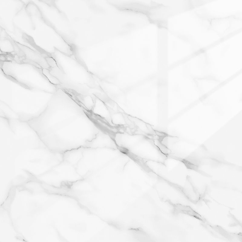 Chantilly | Panneau de marbre Blanc Brillant avec Gris | 260x122x0,2cm