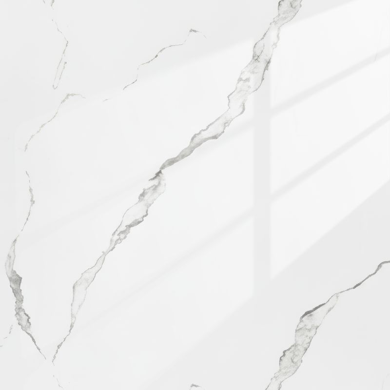 Claw Chantilly | Panneau de marbre Blanc Brillant avec Gris | 260x122x0,2cm