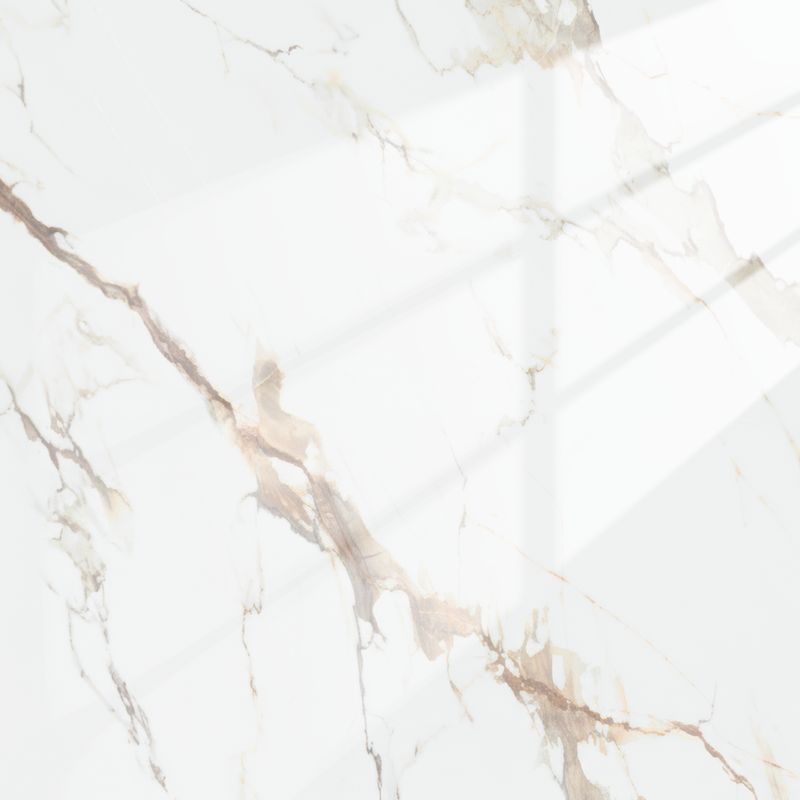 White Limestone | Panneau de marbre Blanc Brillant avec Marron & Gris | 260x122x0,2cm