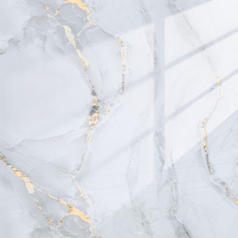 Golden Grey Rock | Panneau de marbre 3D Blanc Brillant avec Gris et Or | 260x122x0,2cm