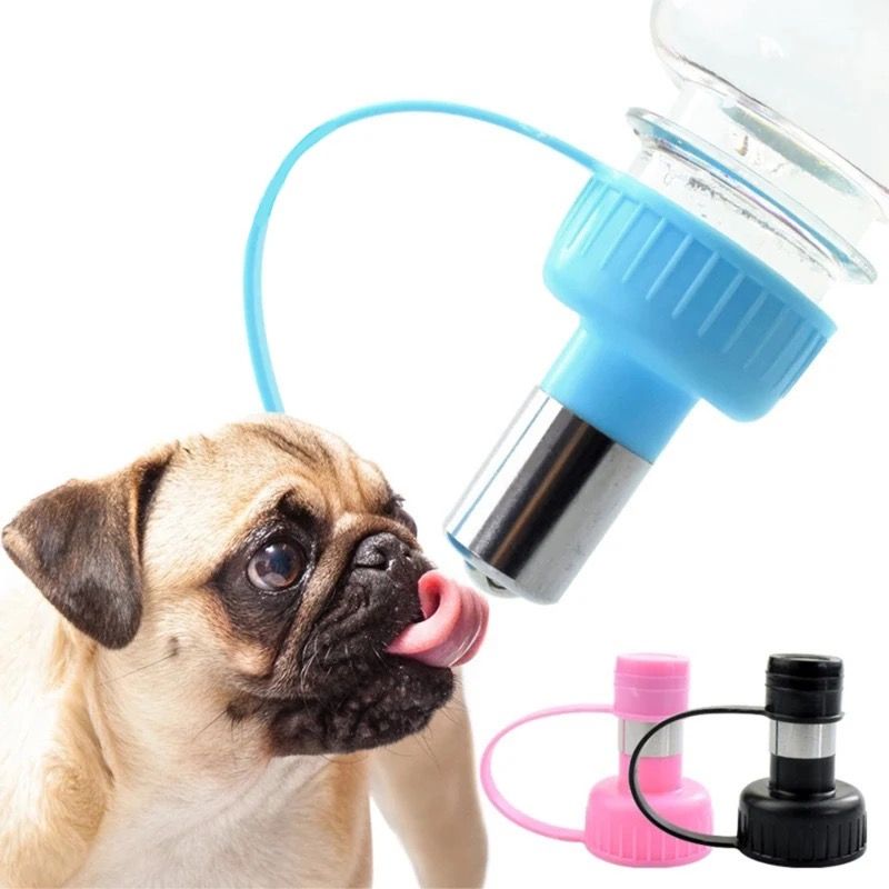 Botella de agua deportiva para perros y gatos
