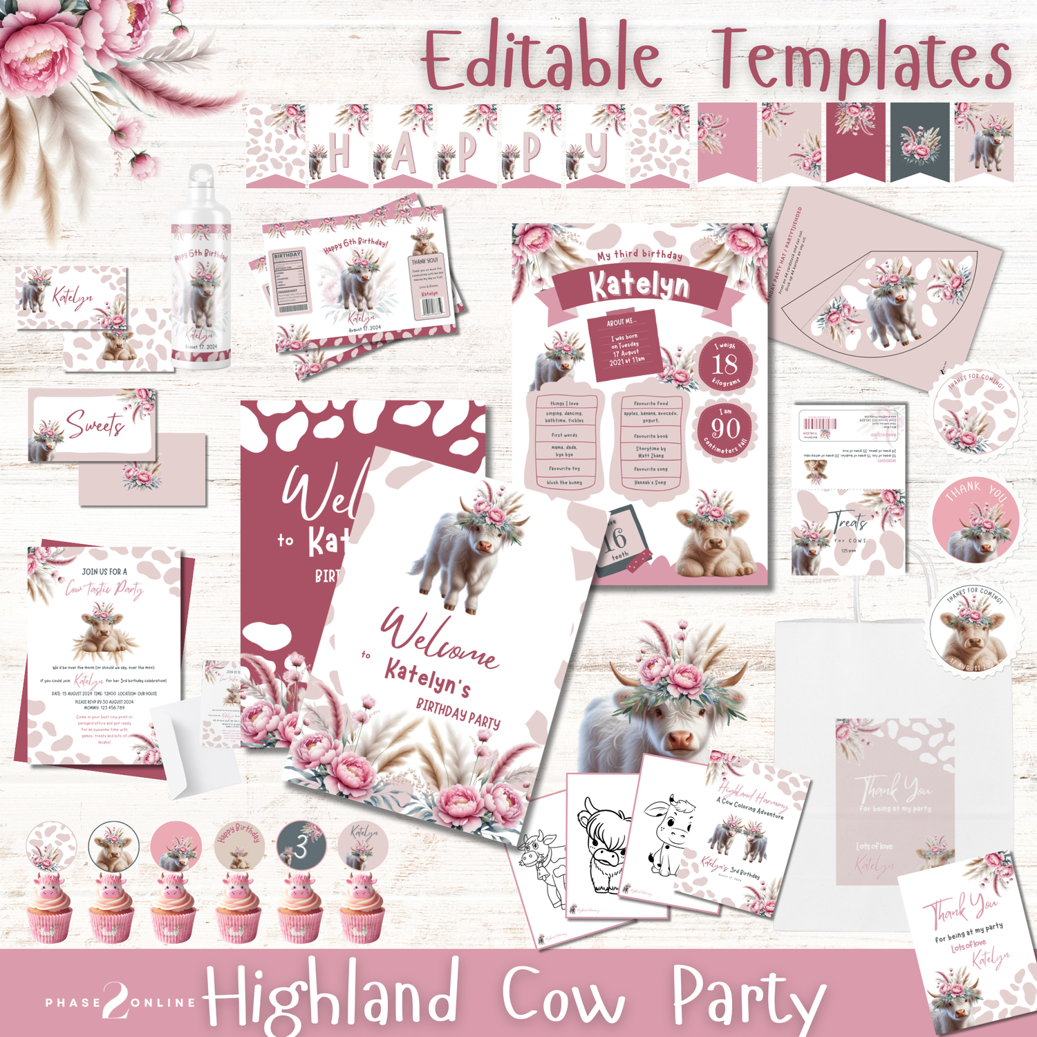 Highland Cow Party Package