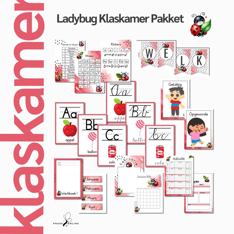 Ladybug KLASKAMER PAKKET