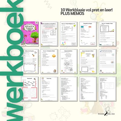 Instruksies &amp; Prosedures | Leesbegrip | REEKS 3