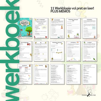 Hoofgedagte &amp; Belangrike Feite | Leesbegrip | REEKS 3